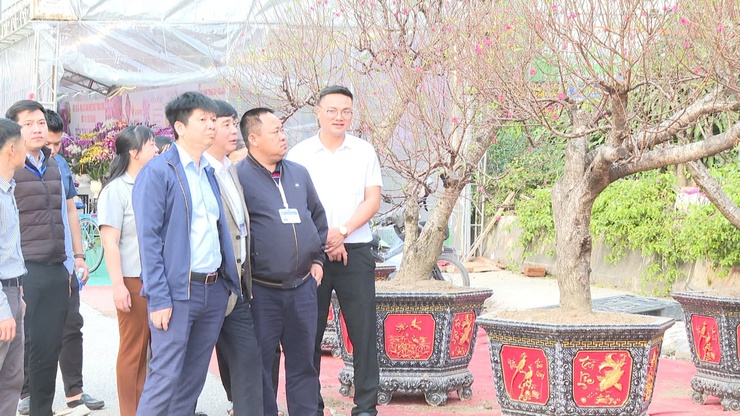 XÃ VĨNH THANH KHAI MẠC HỘI CHỢ HOA XUÂN BÍNH NGỌ NĂM 2026- Ảnh 12.