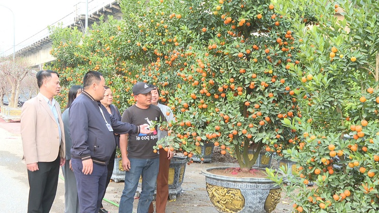 XÃ VĨNH THANH KHAI MẠC HỘI CHỢ HOA XUÂN BÍNH NGỌ NĂM 2026- Ảnh 13.