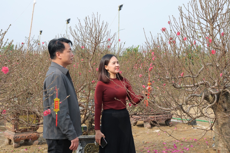 Chợ hoa Xuân xã Phú Nghĩa thu hút đông đảo người dân, khách thăm qua, mua sắm Tết- Ảnh 8.