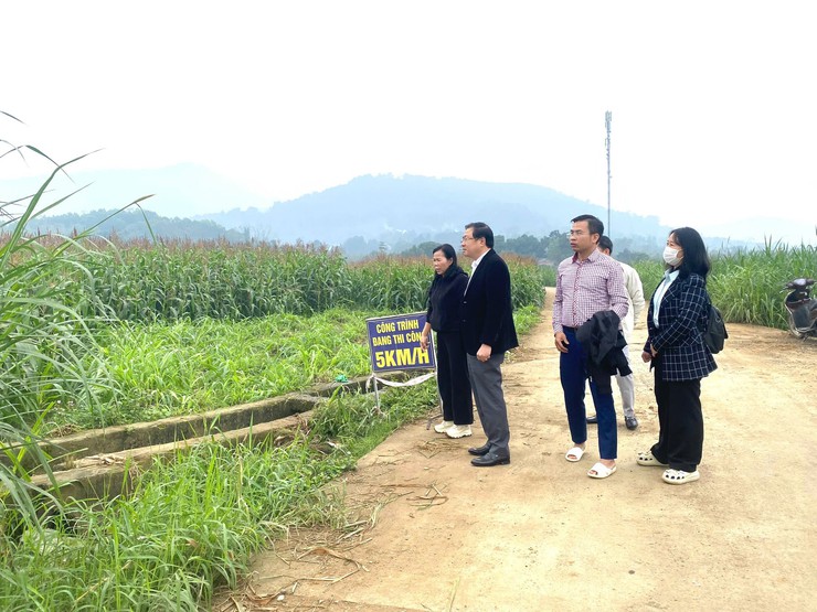 Lãnh đạo xã Suối Hai đã đi kiểm tra thăm đồng nhằm nắm bắt tình hình sản xuất nông nghiệp, công tác cấy lúa và thủy lợi, phục vụ chuẩn bị sản xuất vụ Xuân năm 2026.- Ảnh 1.
