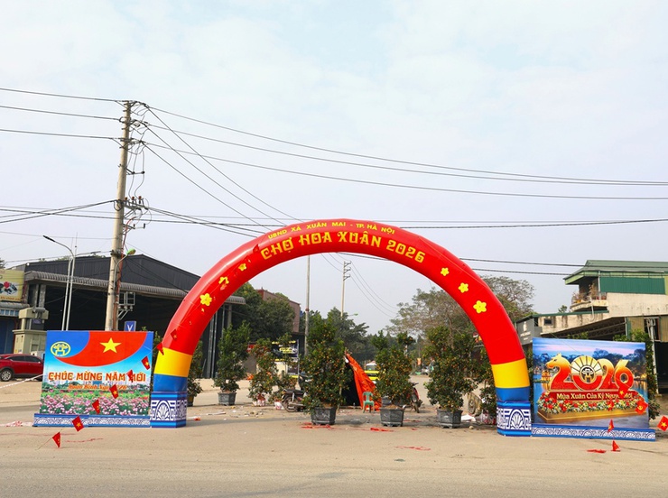 Chợ hoa Xuân Bính Ngọ 2026 xã Xuân Mai rộn ràng, thu hút đông đảo Nhân dân tham quan, mua sắm- Ảnh 4.