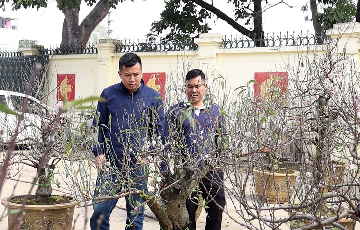 Chợ hoa Xuân Bính Ngọ 2026 xã Xuân Mai rộn ràng, thu hút đông đảo Nhân dân tham quan, mua sắm- Ảnh 2.