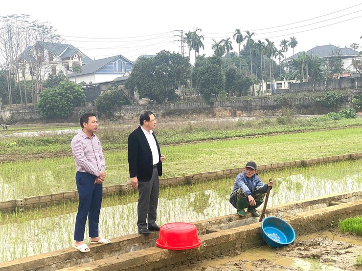 Lãnh đạo xã Suối Hai đã đi kiểm tra thăm đồng nhằm nắm bắt tình hình sản xuất nông nghiệp, công tác cấy lúa và thủy lợi, phục vụ chuẩn bị sản xuất vụ Xuân năm 2026.- Ảnh 2.
