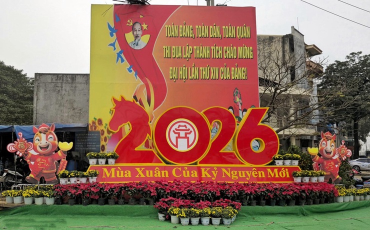 Chợ hoa Xuân Bính Ngọ 2026 xã Xuân Mai rộn ràng, thu hút đông đảo Nhân dân tham quan, mua sắm- Ảnh 1.