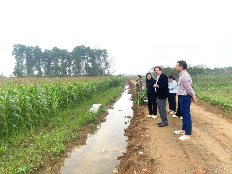 Lãnh đạo xã Suối Hai đã đi kiểm tra thăm đồng nhằm nắm bắt tình hình sản xuất nông nghiệp, công tác cấy lúa và thủy lợi, phục vụ chuẩn bị sản xuất vụ Xuân năm 2026.- Ảnh 3.