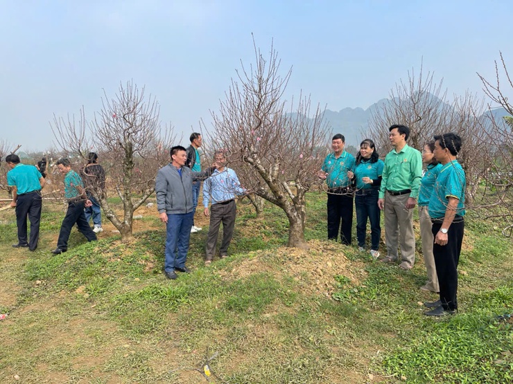 HỘI NÔNG DÂN XÃ XUÂN MAI ĐẨY MẠNH KIỂM TRA, NHÂN RỘNG CÁC MÔ HÌNH SẢN XUẤT NÔNG NGHIỆP HIỆU QUẢ- Ảnh 5.