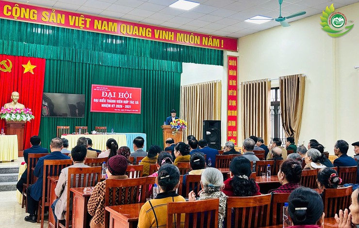 HỢP TÁC XÃ NÔNG NGHIỆP HÒA TRÚC TỔ CHỨC ĐẠI HỘI NHIỆM KỲ 2021–2026- Ảnh 9.