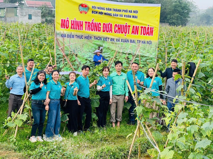 HỘI NÔNG DÂN XÃ XUÂN MAI ĐẨY MẠNH KIỂM TRA, NHÂN RỘNG CÁC MÔ HÌNH SẢN XUẤT NÔNG NGHIỆP HIỆU QUẢ- Ảnh 6.