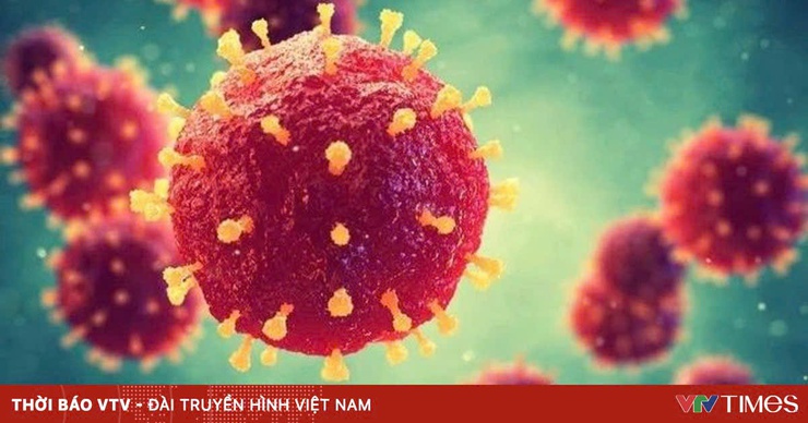 BỆNH DO VIRUS NIPAH VÀ NHỮNG ĐIỀU CẦN LƯU Ý- Ảnh 1.