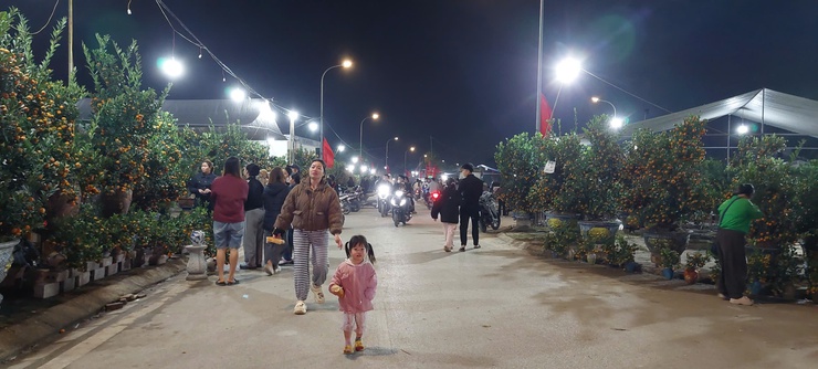 Chợ hoa Xuân xã Phú Nghĩa thu hút đông đảo người dân, khách thăm qua, mua sắm Tết- Ảnh 1.