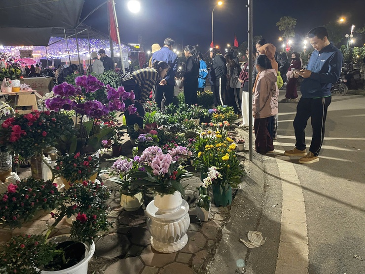 Chợ hoa Xuân xã Phú Nghĩa thu hút đông đảo người dân, khách thăm qua, mua sắm Tết- Ảnh 4.