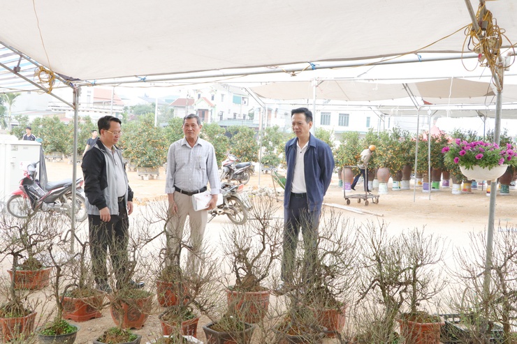 Đồng chí Chủ tịch UBND xã Quảng Bị kiểm tra công tác chuẩn bị tổ chức Chợ hoa xuân Bính Ngọ 2026- Ảnh 3.