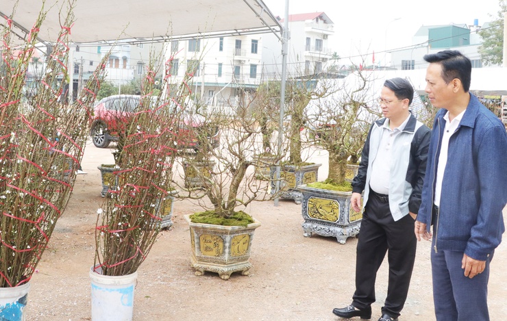 Đồng chí Chủ tịch UBND xã Quảng Bị kiểm tra công tác chuẩn bị tổ chức Chợ hoa xuân Bính Ngọ 2026- Ảnh 4.