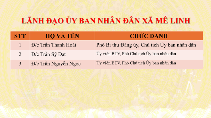 Giới thiệu bộ máy tổ chức của xã Mê Linh- Ảnh 5.