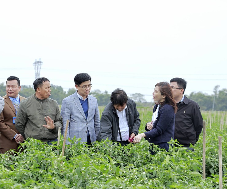 Đảng ủy, UBND xã Đa Phúc làm việc với Hiệp hội Doanh nghiệp Việt Nam về lĩnh vực nông nghiệp- Ảnh 3.