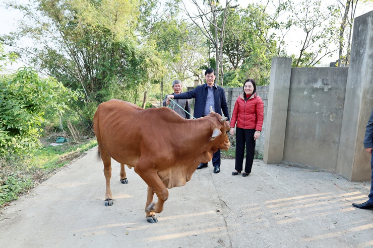 Ủy ban MTTQ xã Quảng Bị trao tiền hỗ trợ mua bò sinh sản cho các hộ có hoàn cảnh khó khăn- Ảnh 4.