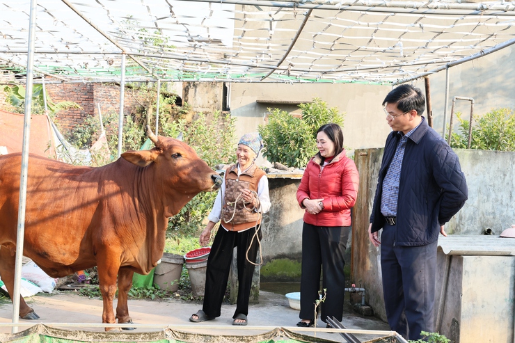 Ủy ban MTTQ xã Quảng Bị trao tiền hỗ trợ mua bò sinh sản cho các hộ có hoàn cảnh khó khăn- Ảnh 7.