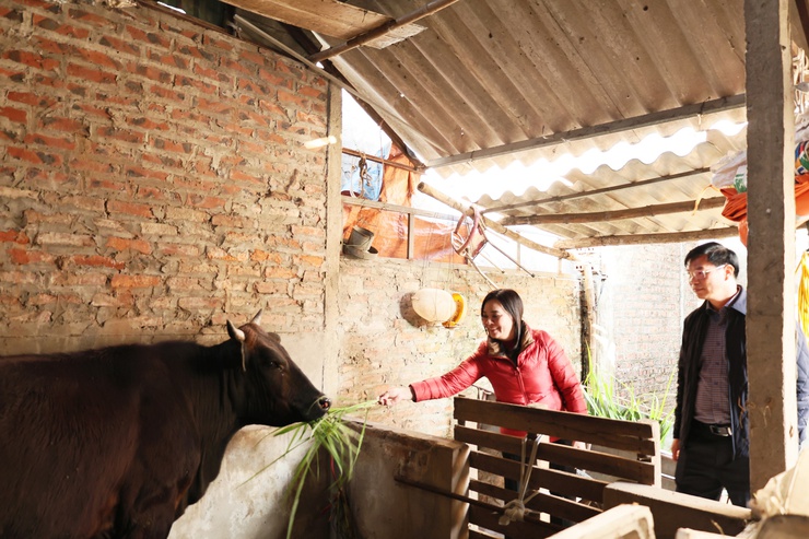 Ủy ban MTTQ xã Quảng Bị trao tiền hỗ trợ mua bò sinh sản cho các hộ có hoàn cảnh khó khăn- Ảnh 10.