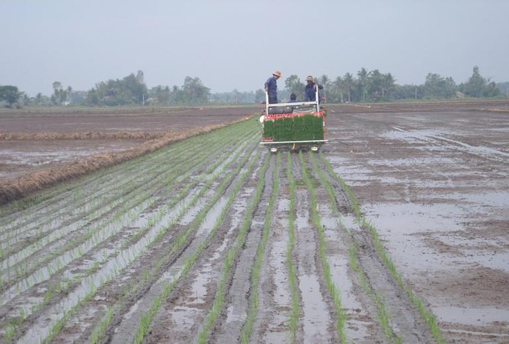 Quảng Bị hướng tới nền nông nghiệp an toàn, bền vững trong năm 2026- Ảnh 2.