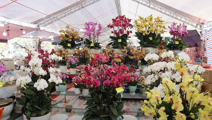 Hội chợ Hoa Xuân Bính Ngọ 2026 xã Quốc Oai: Cơ hội thuận lợi cho tiểu thương – Không thu phí thuê gian hàng- Ảnh 1.