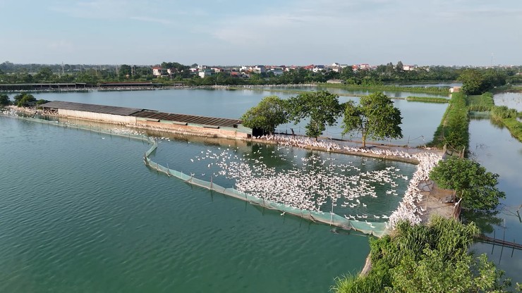 ỨNG HÒA TỔ CHỨC HỘI THẢO PHÁT TRIỂN CHUỖI GIÁ TRỊ NÔNG NGHIỆP BỀN VỮNG, HIỆU QUẢ - Ảnh 3.