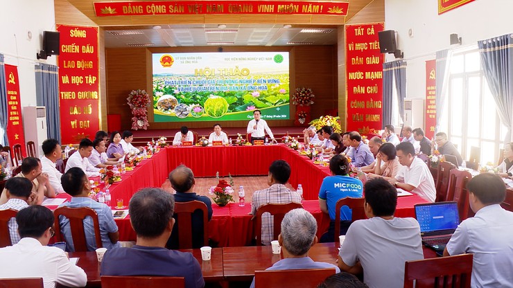 ỨNG HÒA TỔ CHỨC HỘI THẢO PHÁT TRIỂN CHUỖI GIÁ TRỊ NÔNG NGHIỆP BỀN VỮNG, HIỆU QUẢ - Ảnh 1.