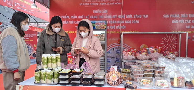 Triển lãm hoa giấy và thiết kế thủ công mỹ nghệ sáng tạo phục vụ Xuân Bính Ngọ- Ảnh 4.