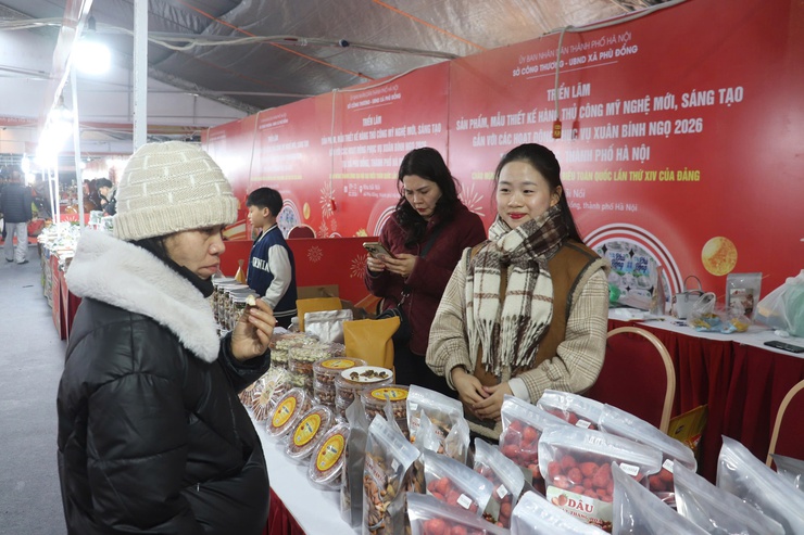 Triển lãm hoa giấy và thiết kế thủ công mỹ nghệ sáng tạo phục vụ Xuân Bính Ngọ- Ảnh 5.