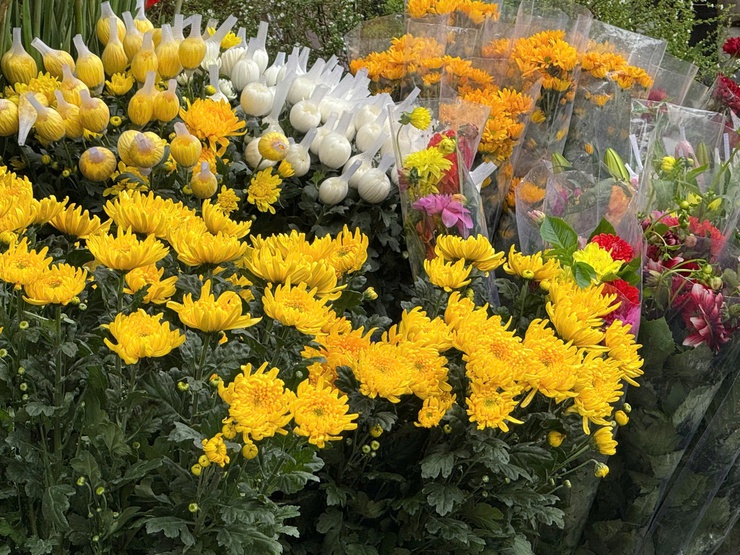 RỘN RÀNG PHIÊN CHỢ 23 TẾT BÍNH NGỌ PHƯỜNG ĐÔNG NGẠC- Ảnh 1.