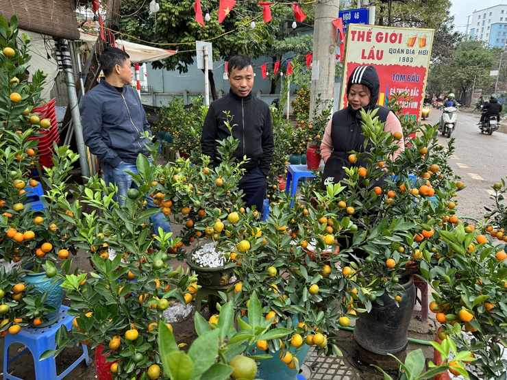 RỘN RÀNG PHIÊN CHỢ 23 TẾT BÍNH NGỌ PHƯỜNG ĐÔNG NGẠC- Ảnh 4.