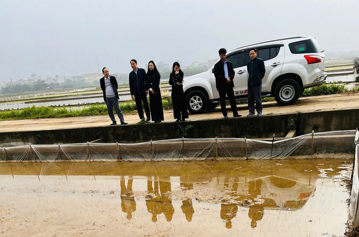 HĐND xã khảo sát công tác sản xuất vụ Xuân trên địa bàn- Ảnh 3.