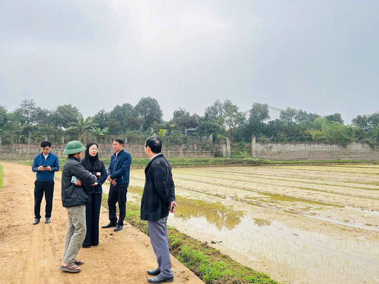 HĐND xã khảo sát công tác sản xuất vụ Xuân trên địa bàn- Ảnh 4.