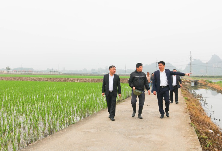 ĐỒNG CHÍ CHỦ TỊCH UBND XÃ QUỐC OAI KIỂM TRA THỰC TẾ SẢN XUẤT VỤ XUÂN NĂM 2026- Ảnh 1.