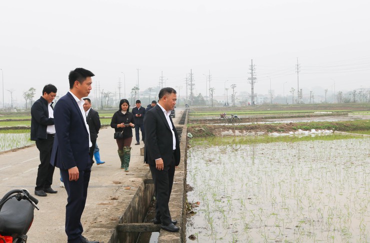 ĐỒNG CHÍ CHỦ TỊCH UBND XÃ QUỐC OAI KIỂM TRA THỰC TẾ SẢN XUẤT VỤ XUÂN NĂM 2026- Ảnh 5.