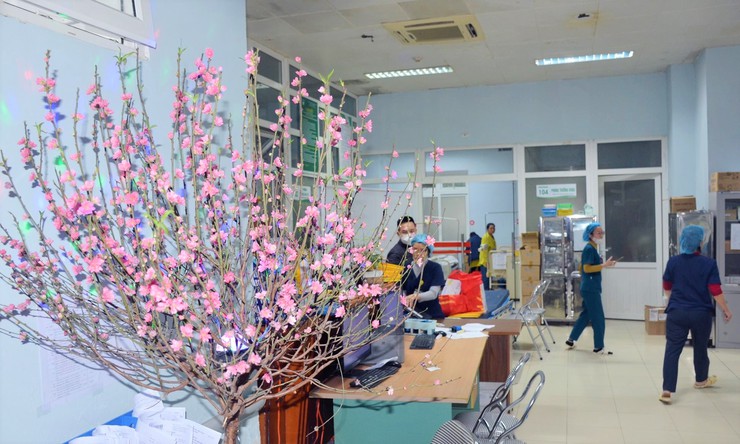 Tăng cường công tác cấp cứu và khám, chữa bệnh dịp Tết Nguyên đán 2026- Ảnh 1.