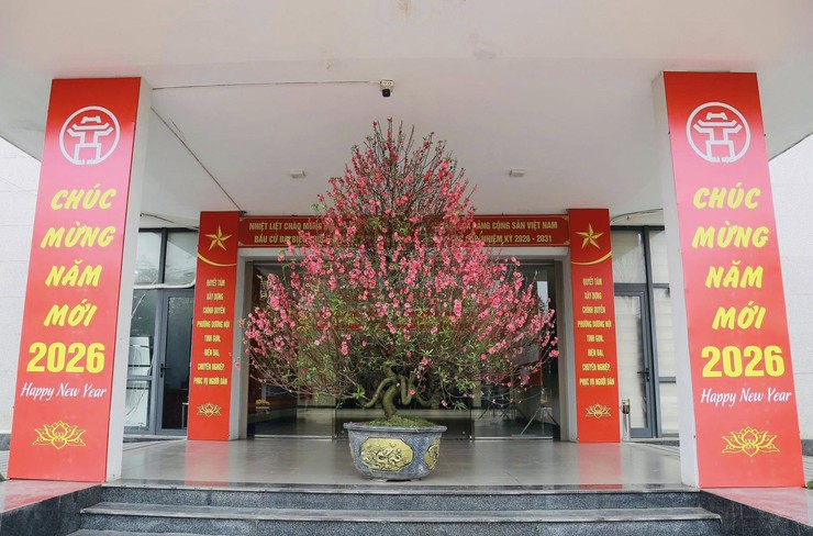 Phường Dương Nội rực rỡ cờ hoa đón mừng Xuân mới Bính Ngọ - Ảnh 8.