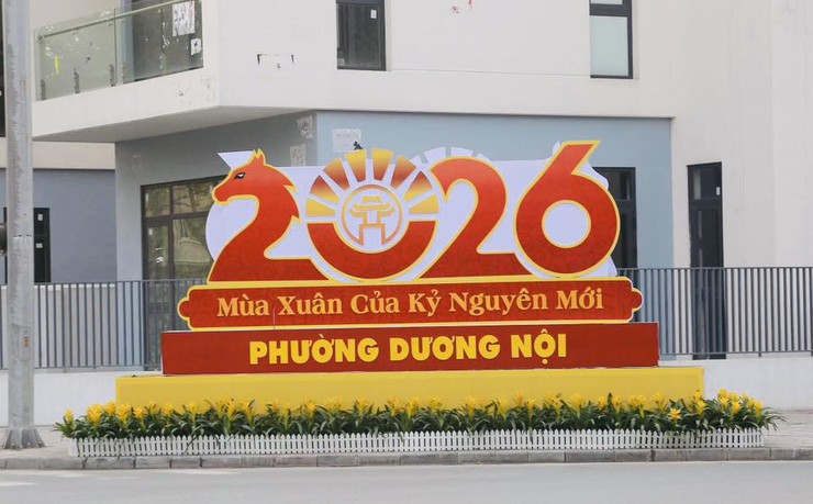 Phường Dương Nội rực rỡ cờ hoa đón mừng Xuân mới Bính Ngọ - Ảnh 6.