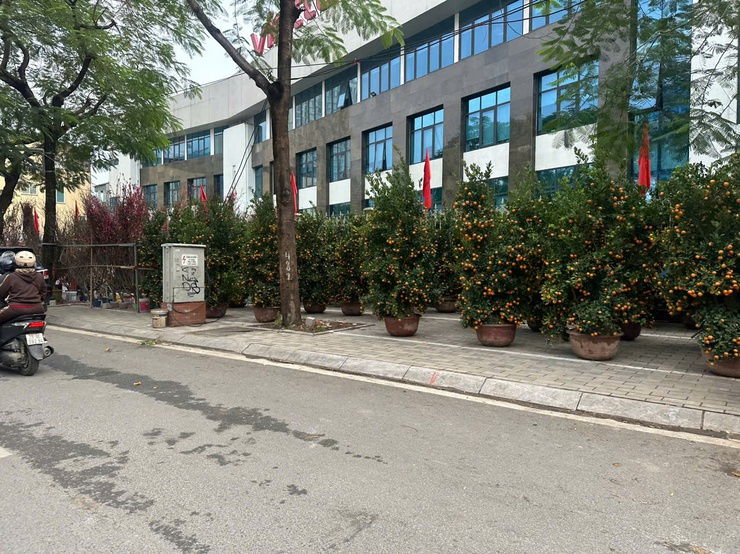 Hà Nội ngày 12/2, sáng có mưa nhỏ, mưa phùn và sương mù; sau có mưa vài nơi. Sáng và đêm trời rét.- Ảnh 1.