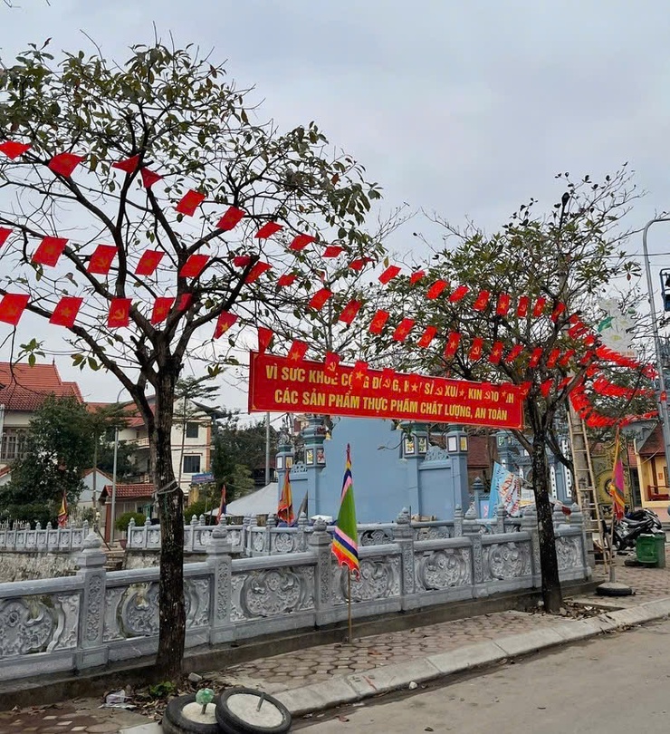 Rộn ràng không khí trang trí đón Tết Nguyên đán Bính Ngọ 2026 trên địa bàn xã Thường Tín- Ảnh 3.