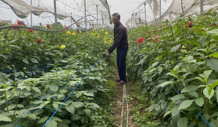 Người nông dân nỗ lực và sáng tạo- Ảnh 1.