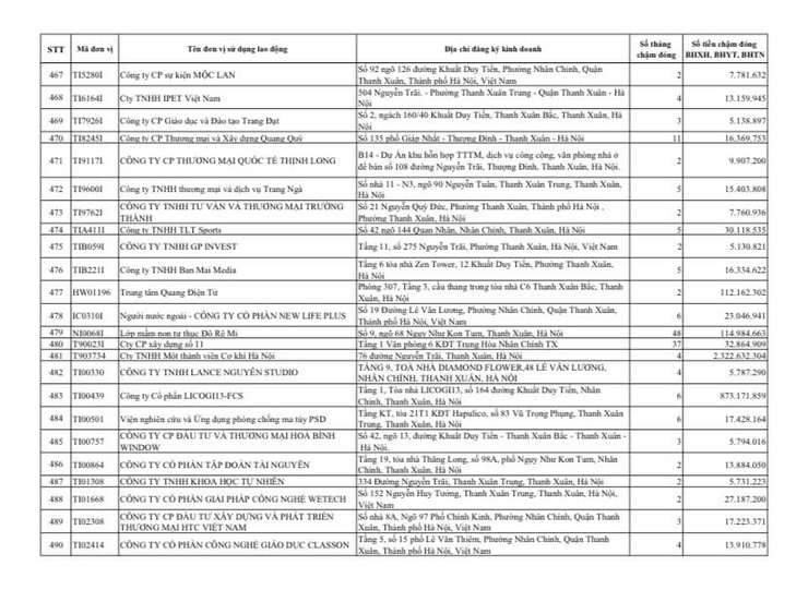 Công khai danh sách các đơn vị chậm đóng BHXH, BHYT, BHTN, BHTNLĐ-BNN từ 02 tháng trở lên trên địa bàn phường Thanh Xuân- Ảnh 21.