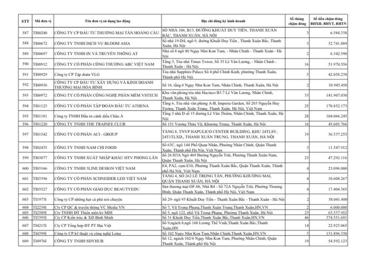 Công khai danh sách các đơn vị chậm đóng BHXH, BHYT, BHTN, BHTNLĐ-BNN từ 02 tháng trở lên trên địa bàn phường Thanh Xuân- Ảnh 26.