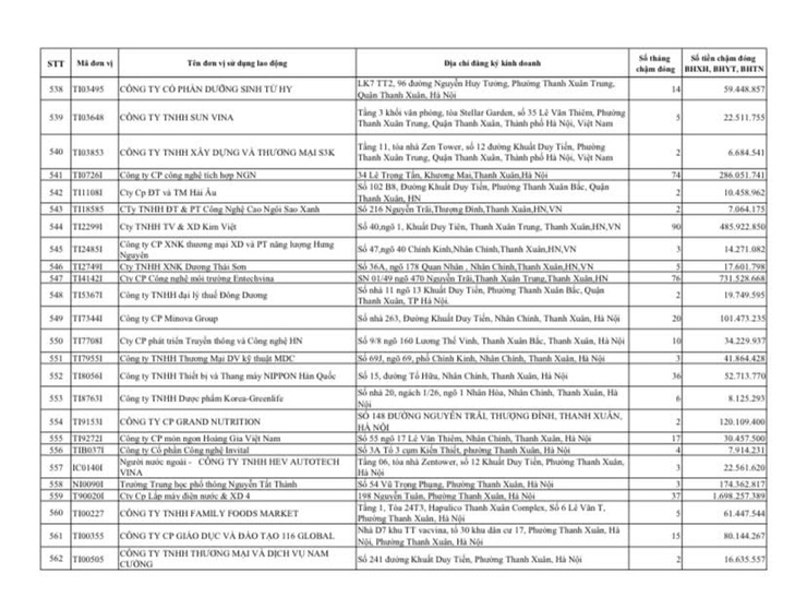 Công khai danh sách các đơn vị chậm đóng BHXH, BHYT, BHTN, BHTNLĐ-BNN từ 02 tháng trở lên trên địa bàn phường Thanh Xuân- Ảnh 24.