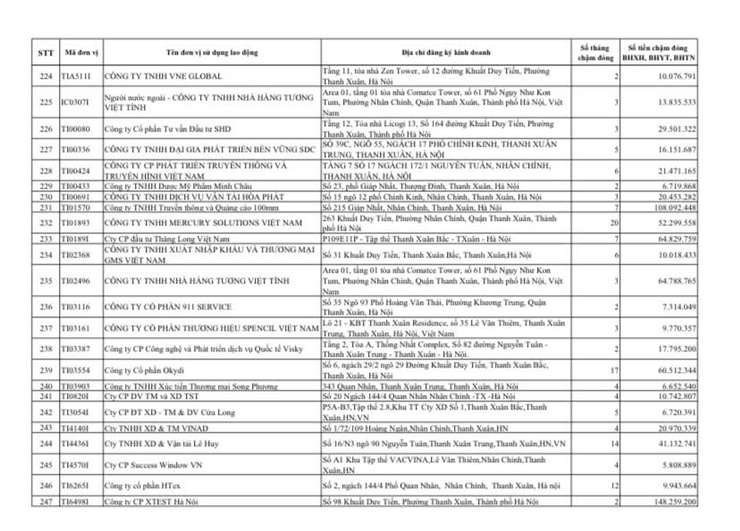 Công khai danh sách các đơn vị chậm đóng BHXH, BHYT, BHTN, BHTNLĐ-BNN từ 02 tháng trở lên trên địa bàn phường Thanh Xuân- Ảnh 11.