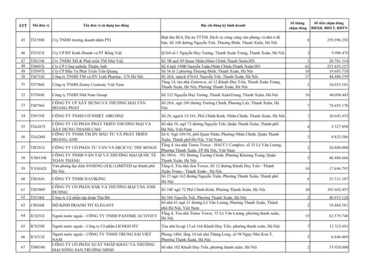 Công khai danh sách các đơn vị chậm đóng BHXH, BHYT, BHTN, BHTNLĐ-BNN từ 02 tháng trở lên trên địa bàn phường Thanh Xuân- Ảnh 4.