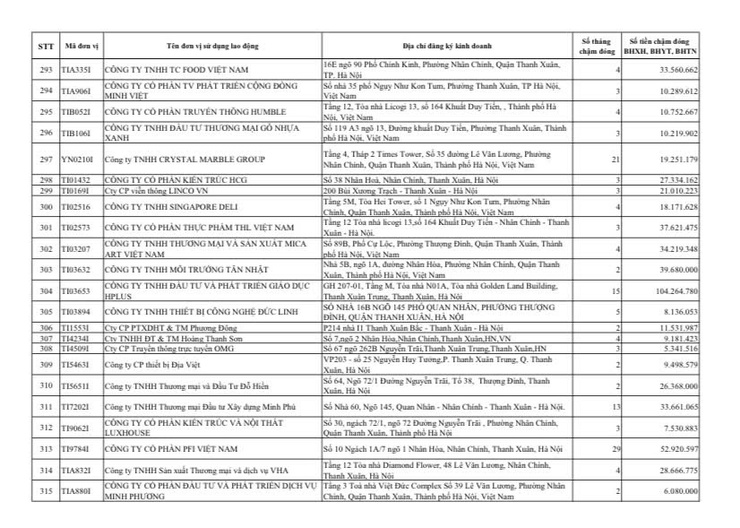 Công khai danh sách các đơn vị chậm đóng BHXH, BHYT, BHTN, BHTNLĐ-BNN từ 02 tháng trở lên trên địa bàn phường Thanh Xuân- Ảnh 14.
