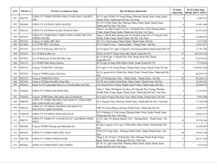 Công khai danh sách các đơn vị chậm đóng BHXH, BHYT, BHTN, BHTNLĐ-BNN từ 02 tháng trở lên trên địa bàn phường Thanh Xuân- Ảnh 22.