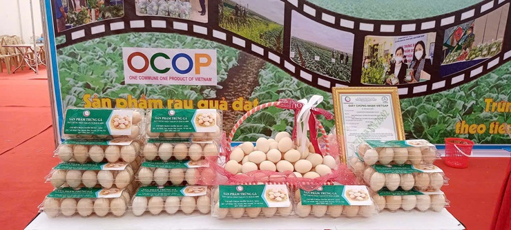 Đại Xuyên bứt phá toàn diện, vững bước vào mùa xuân mới Bính Ngọ 2026- Ảnh 4.