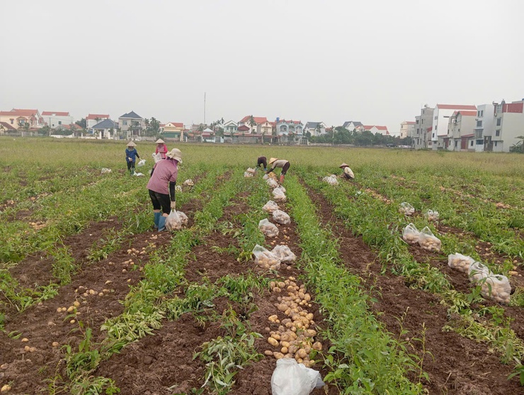 Đại Xuyên bứt phá toàn diện, vững bước vào mùa xuân mới Bính Ngọ 2026- Ảnh 5.