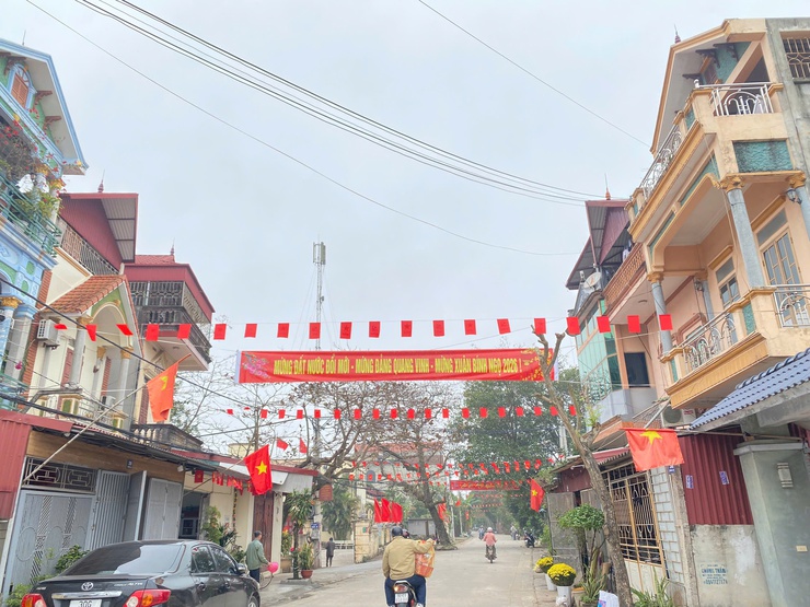 Treo cờ Đảng,  cờ Tổ quốc trang trí trong dịp Tết – lan tỏa khí thế vui tươi, tự hào dân tộc- Ảnh 1.